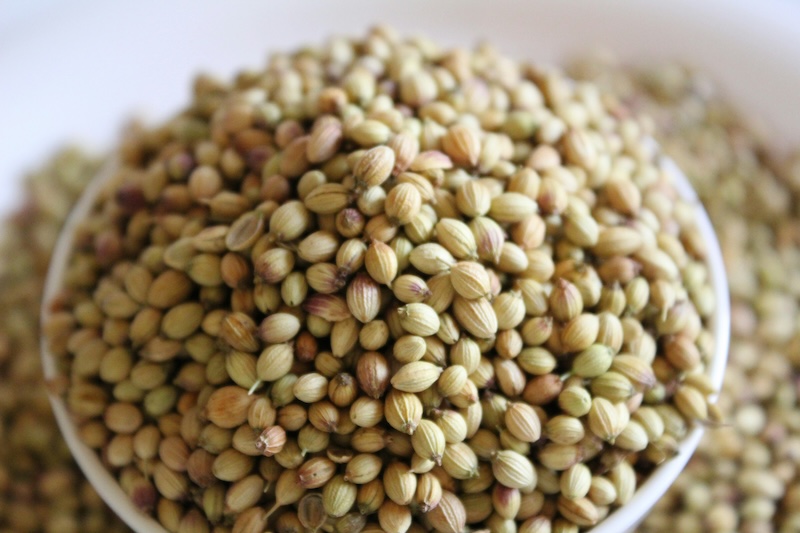 Coriander Seeds